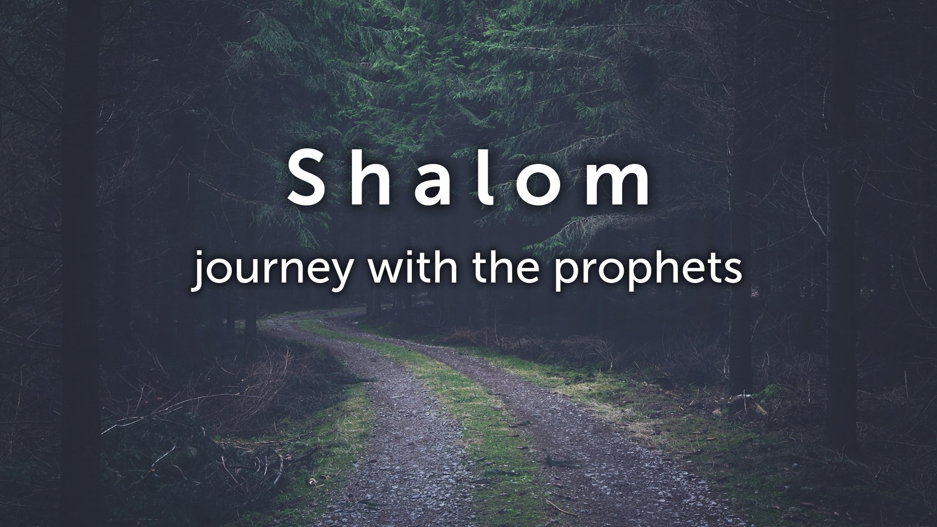 Astonishing Shalom